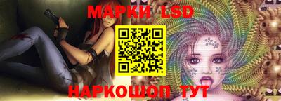 спиды Донской